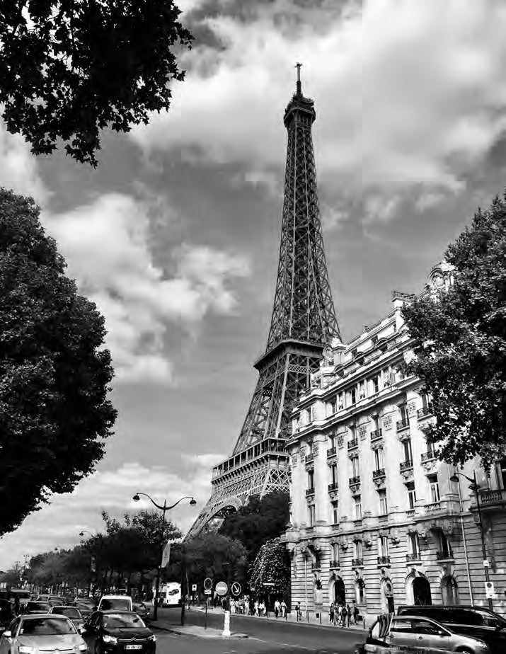 Cuadro torre eiffel b/n